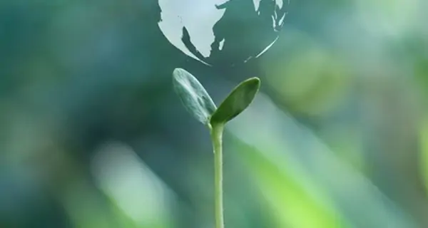 المشروع الرابع